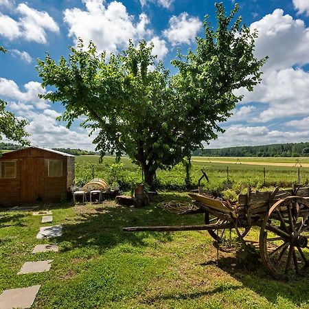 Domaine Du Bois Des Anges Bed & Breakfast Germigny-l'Eveque Dış mekan fotoğraf