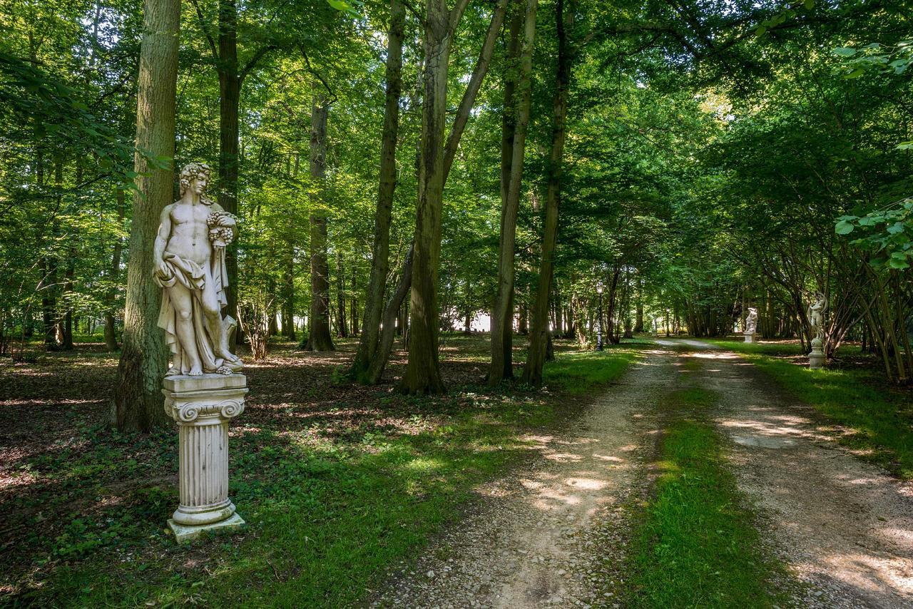 Domaine Du Bois Des Anges Bed & Breakfast Germigny-l'Eveque Dış mekan fotoğraf