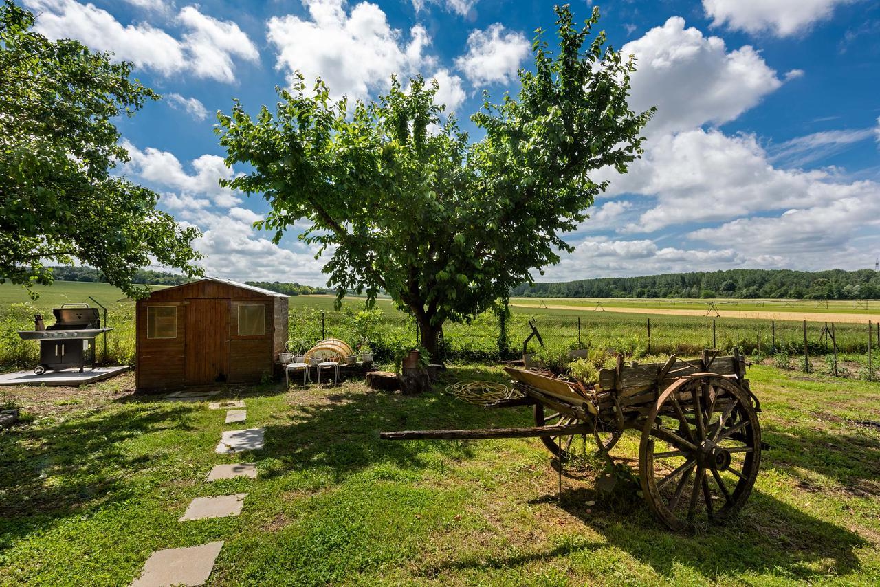 Domaine Du Bois Des Anges Bed & Breakfast Germigny-l'Eveque Dış mekan fotoğraf